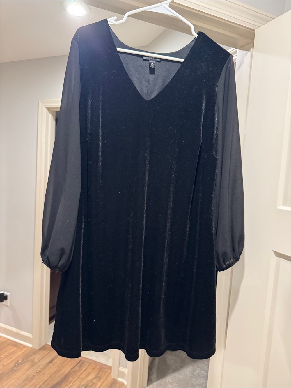 Black V-Neck Velvet Shift Dress with Sheer Sleeves